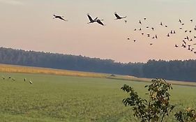 Ferienhaus Naturblick